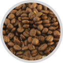 arabica